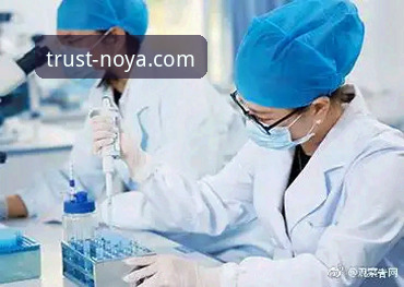深度揭秘诺亚体育靠谱吗：一个行业观察者的真实评估